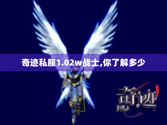 奇迹私服1.02w战士,你了解多少