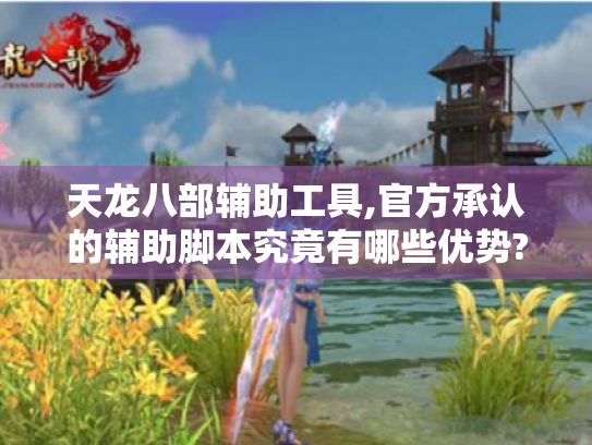 天龙八部辅助工具,官方承认的辅助脚本究竟有哪些优势?