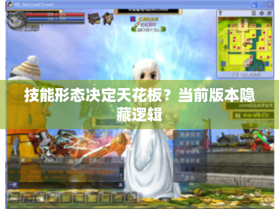 技能形态决定天花板?当前版本隐藏逻辑 技能形态决定天花板?当前版本隐藏逻辑