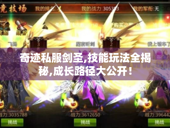 奇迹私服剑圣,技能玩法全揭秘,成长路径大公开! 奇迹私服剑圣,技能玩法全揭秘,成长路径大公开!