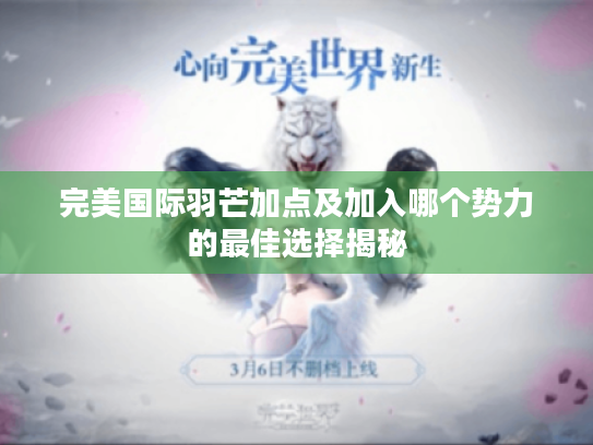完美国际羽芒加点及加入哪个势力的最佳选择揭秘