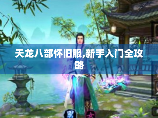 天龙八部怀旧服,新手入门全攻略 天龙八部怀旧服,新手入门全攻略