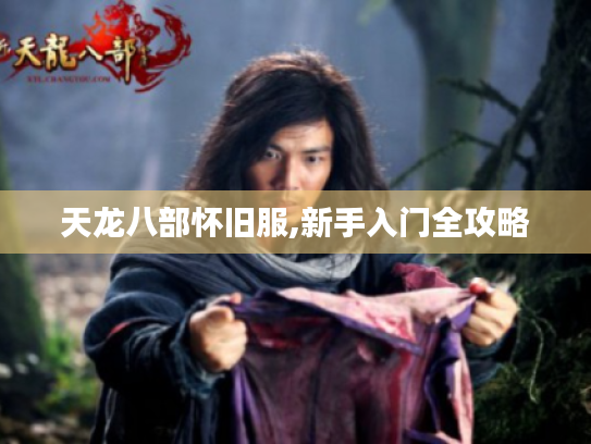 天龙八部怀旧服,新手入门全攻略 天龙八部怀旧服,新手入门全攻略