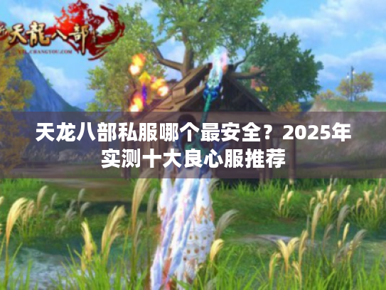 天龙八部私服哪个最安全?2025年实测十大良心服推荐 天龙八部私服哪个最安全?2025年实测十大良心服推荐