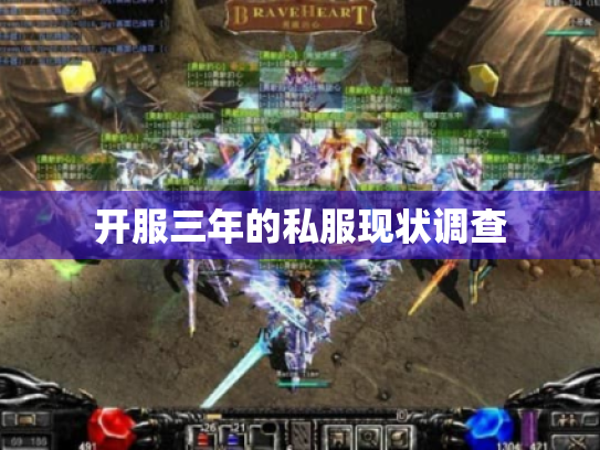 开服三年的私服现状调查 开服三年的私服现状调查