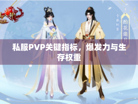 私服PVP关键指标,爆发力与生存权重 私服PVP关键指标,爆发力与生存权重