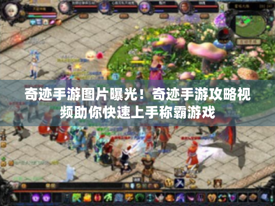 奇迹手游图片曝光!奇迹手游攻略视频助你快速上手称霸游戏 奇迹手游图片曝光!奇迹手游攻略视频助你快速上手称霸游戏