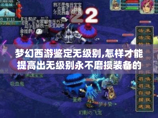 梦幻西游鉴定无级别,怎样才能提高出无级别永不磨损装备的概率? 梦幻西游鉴定无级别,怎样才能提高出无级别永不磨损装备的概率?