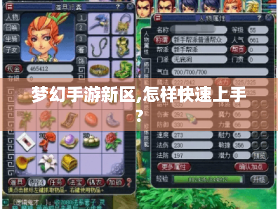 梦幻手游新区,怎样快速上手? 梦幻手游新区,怎样快速上手?