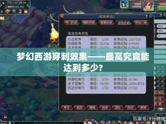 梦幻西游穿刺效果——最高究竟能达到多少? 梦幻西游穿刺效果——最高究竟能达到多少?