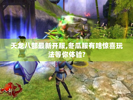 天龙八部最新开服,冬瓜服有啥惊喜玩法等你体验? 天龙八部最新开服,冬瓜服有啥惊喜玩法等你体验?