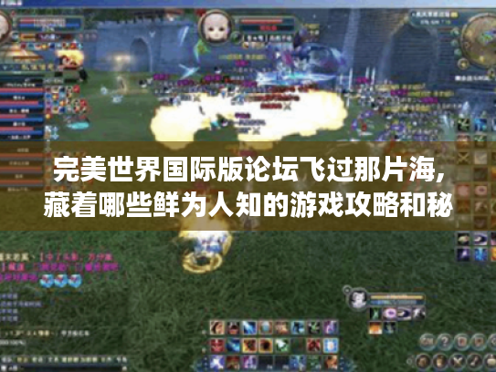 完美世界国际版论坛飞过那片海,藏着哪些鲜为人知的游戏攻略和秘密 完美世界国际版论坛飞过那片海,藏着哪些鲜为人知的游戏攻略和秘密