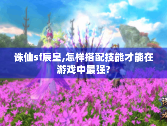 诛仙sf辰皇,怎样搭配技能才能在游戏中最强? 诛仙sf辰皇,怎样搭配技能才能在游戏中最强?