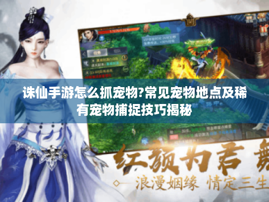 诛仙手游怎么抓宠物?常见宠物地点及稀有宠物捕捉技巧揭秘 诛仙手游怎么抓宠物?常见宠物地点及稀有宠物捕捉技巧揭秘