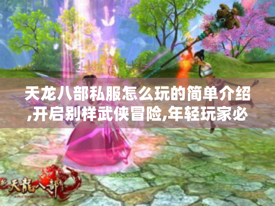 天龙八部私服怎么玩的简单介绍,开启别样武侠冒险,年轻玩家必看攻略 天龙八部私服怎么玩的简单介绍,开启别样武侠冒险,年轻玩家必看攻略