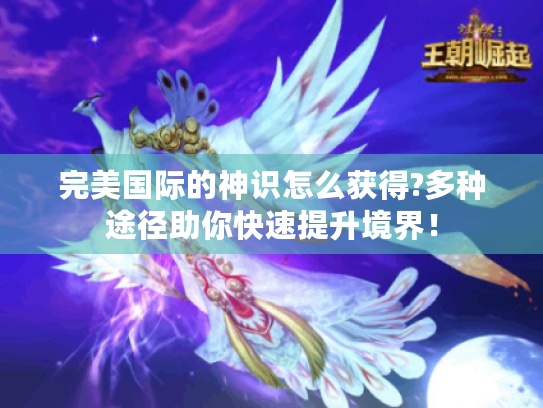 完美国际的神识怎么获得?多种途径助你快速提升境界! 完美国际的神识怎么获得?多种途径助你快速提升境界!