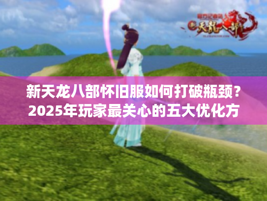 新天龙八部怀旧服如何打破瓶颈?2025年玩家最关心的五大优化方向解析 新天龙八部怀旧服如何打破瓶颈?2025年玩家最关心的五大优化方向解析