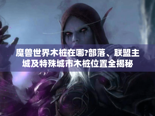 魔兽世界木桩在哪?部落、联盟主城及特殊城市木桩位置全揭秘 魔兽世界木桩在哪?部落、联盟主城及特殊城市木桩位置全揭秘