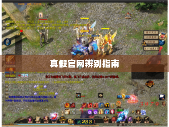 真假官网辨别指南