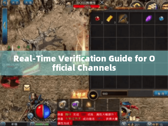 Real-Time Verification Guide for Official Channels