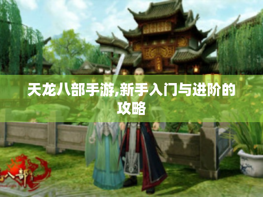 天龙八部手游,新手入门与进阶的攻略 天龙八部手游,新手入门与进阶的攻略