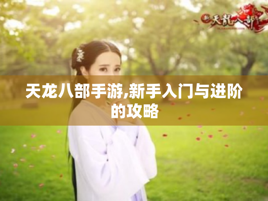 天龙八部手游,新手入门与进阶的攻略 天龙八部手游,新手入门与进阶的攻略