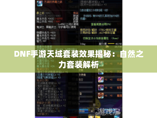 DNF手游天域套装效果揭秘:自然之力套装解析 DNF手游天域套装效果揭秘:自然之力套装解析