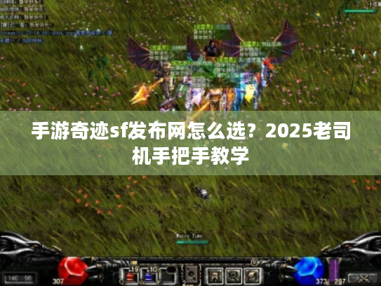 手游奇迹sf发布网怎么选?2025老司机手把手教学 手游奇迹sf发布网怎么选?2025老司机手把手教学