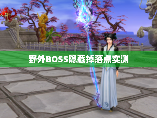 野外BOSS隐藏掉落点实测 野外BOSS隐藏掉落点实测