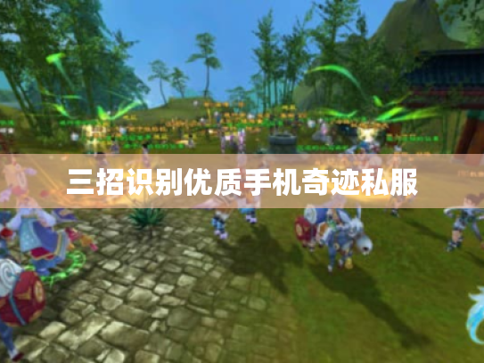 三招识别优质手机奇迹私服 三招识别优质手机奇迹私服