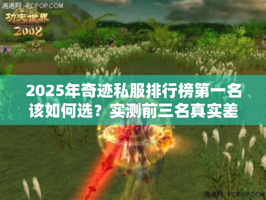 2025年奇迹私服排行榜第一名该如何选？实测前三名真实差距