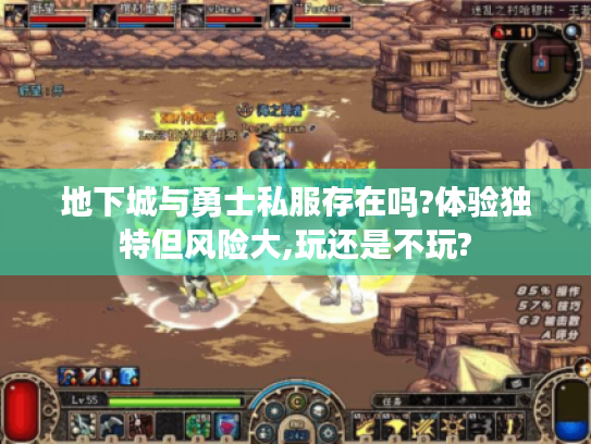 地下城与勇士私服存在吗?体验独特但风险大,玩还是不玩? 地下城与勇士私服存在吗?体验独特但风险大,玩还是不玩?