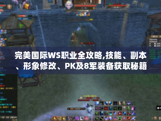 完美国际WS职业全攻略,技能、副本、形象修改、PK及8军装备获取秘籍