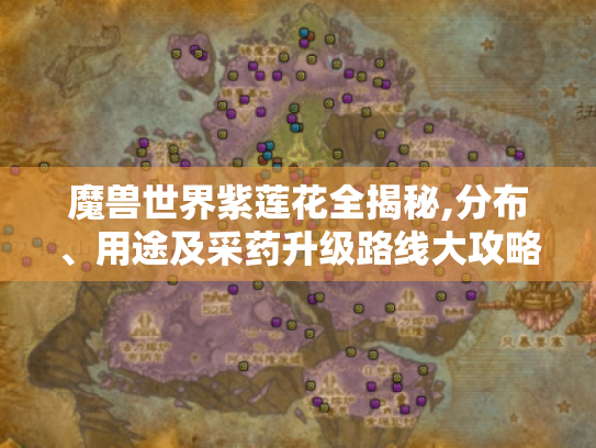 魔兽世界紫莲花全揭秘,分布、用途及采药升级路线大攻略 魔兽世界紫莲花全揭秘,分布、用途及采药升级路线大攻略