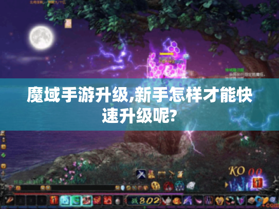魔域手游升级,新手怎样才能快速升级呢? 魔域手游升级,新手怎样才能快速升级呢?