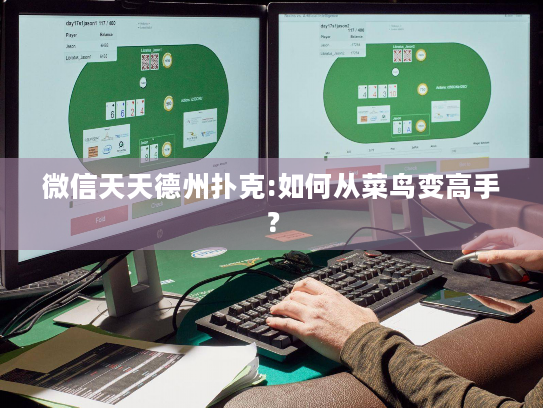 微信天天德州扑克:如何从菜鸟变高手? 微信天天德州扑克:如何从菜鸟变高手?
