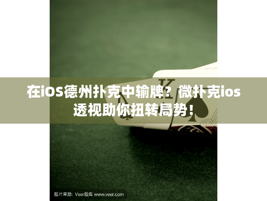 在iOS德州扑克中输牌?微扑克ios透视助你扭转局势! 在iOS德州扑克中输牌?微扑克ios透视助你扭转局势!