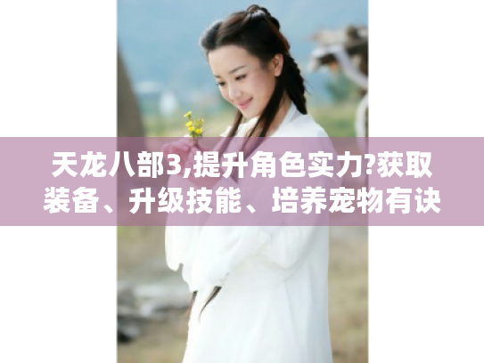 天龙八部3,提升角色实力?获取装备、升级技能、培养宠物有诀窍！