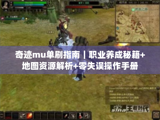 奇迹mu单刷指南|职业养成秘籍+地图资源解析+零失误操作手册 奇迹mu单刷指南|职业养成秘籍+地图资源解析+零失误操作手册