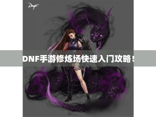 DNF手游修炼场快速入门攻略! DNF手游修炼场快速入门攻略!