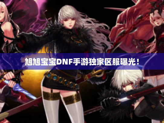 旭旭宝宝DNF手游独家区服曝光! 旭旭宝宝DNF手游独家区服曝光!