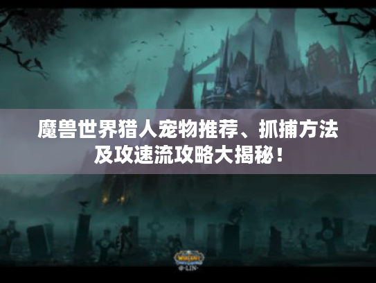 魔兽世界猎人宠物推荐、抓捕方法及攻速流攻略大揭秘! 魔兽世界猎人宠物推荐、抓捕方法及攻速流攻略大揭秘!