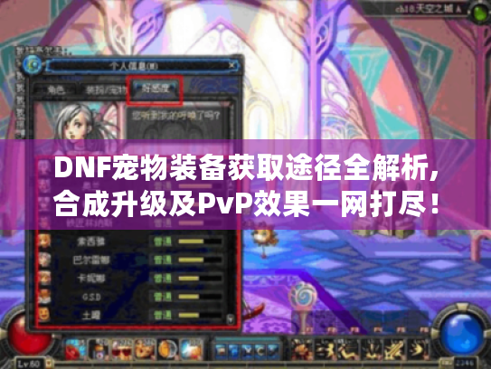 DNF宠物装备获取途径全解析,合成升级及PvP效果一网打尽! DNF宠物装备获取途径全解析,合成升级及PvP效果一网打尽!