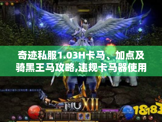 奇迹私服1.03H卡马、加点及骑黑王马攻略,违规卡马器使用需谨慎! 奇迹私服1.03H卡马、加点及骑黑王马攻略,违规卡马器使用需谨慎!