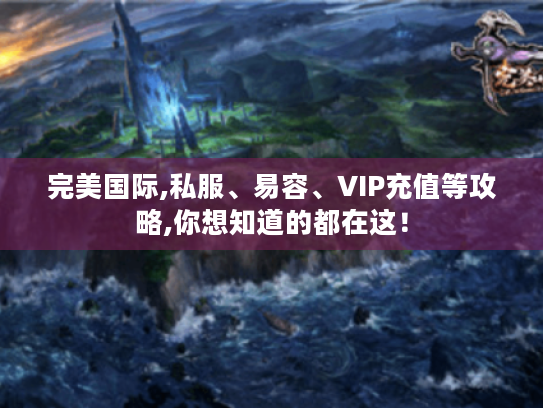 完美国际,私服、易容、VIP充值等攻略,你想知道的都在这！