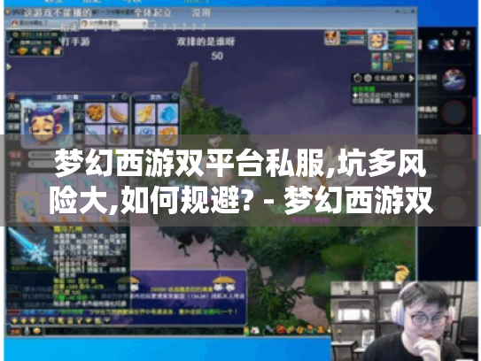 梦幻西游双平台私服,坑多风险大,如何规避? - 梦幻西游双平台私服 梦幻西游双平台私服,坑多风险大,如何规避? - 梦幻西游双平台私服