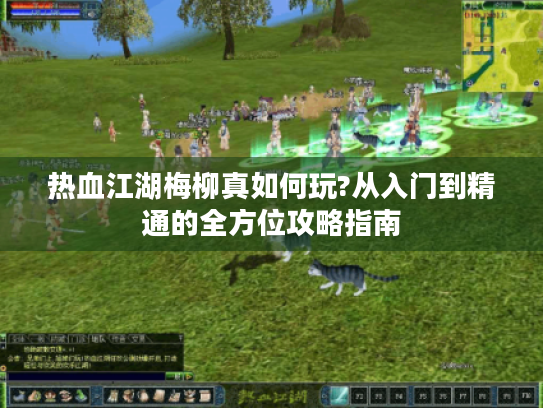 热血江湖梅柳真如何玩?从入门到精通的全方位攻略指南