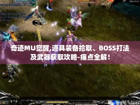 奇迹MU觉醒,道具装备拾取、BOSS打法及武器获取攻略-痛点全解! 奇迹MU觉醒,道具装备拾取、BOSS打法及武器获取攻略-痛点全解!