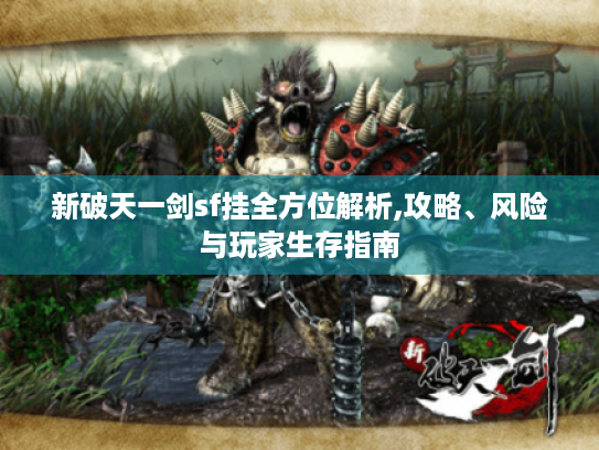 新破天一剑sf挂全方位解析,攻略、风险与玩家生存指南 新破天一剑sf挂全方位解析,攻略、风险与玩家生存指南