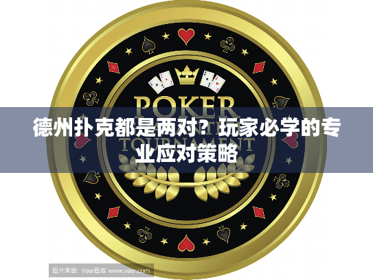 德州扑克都是两对?玩家必学的专业应对策略 德州扑克都是两对?玩家必学的专业应对策略